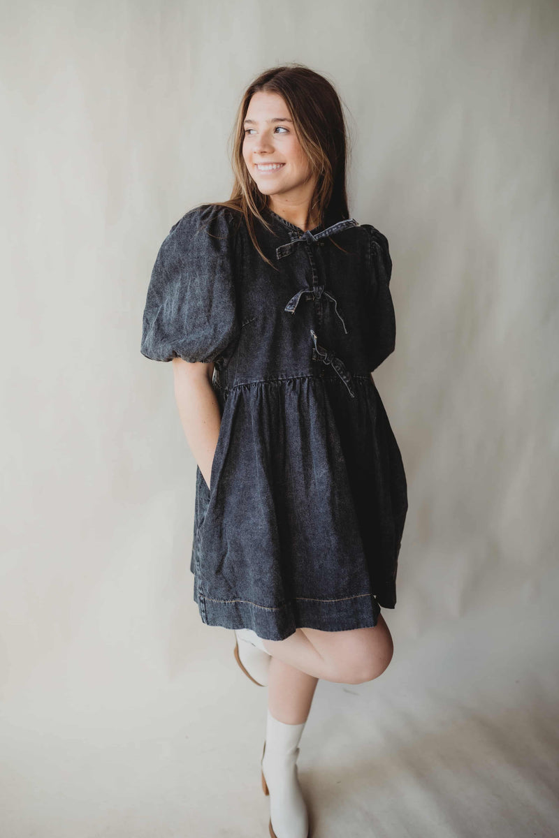 Arlo Denim Dress