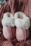 PB House Slipper