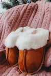 PB House Slipper
